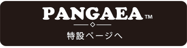 補助金 メーカー推奨品 フルハーネス pangaea 特設ページ